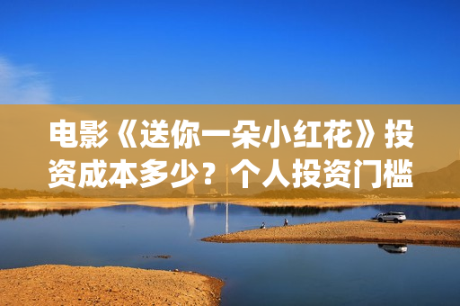 电影《送你一朵小红花》投资成本多少？个人投资门槛高吗？怎么参与？(电影《送你一朵花》完整版)