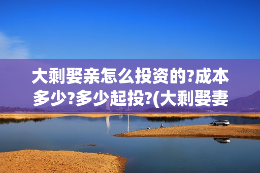 大剩娶亲怎么投资的?成本多少?多少起投?(大剩娶妻)