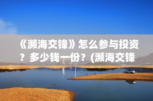 《濒海交锋》怎么参与投资？多少钱一份？(濒海交锋是哪家公司出品)