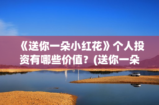 《送你一朵小红花》个人投资有哪些价值？(送你一朵小红花歌词表达什么意思)
