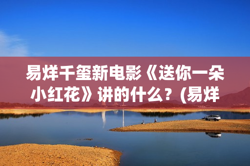 易烊千玺新电影《送你一朵小红花》讲的什么？(易烊千玺新电影2025年)