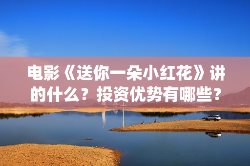 电影《送你一朵小红花》讲的什么？投资优势有哪些？(电影送你一朵小红花完整版免费观看)