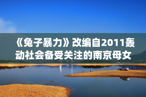 《兔子暴力》改编自2011轰动社会备受关注的南京母女绑架杀人案(兔子暴力原型故事结局)