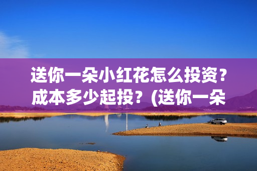 送你一朵小红花怎么投资？成本多少起投？(送你一朵小红花简谱)