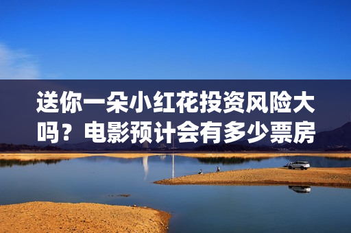 送你一朵小红花投资风险大吗？电影预计会有多少票房？(送你一朵小红花电影)