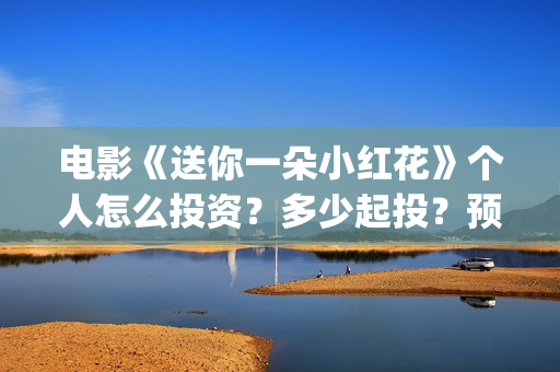 电影《送你一朵小红花》个人怎么投资？多少起投？预计收益多少？(电影《送你一朵小红花》)