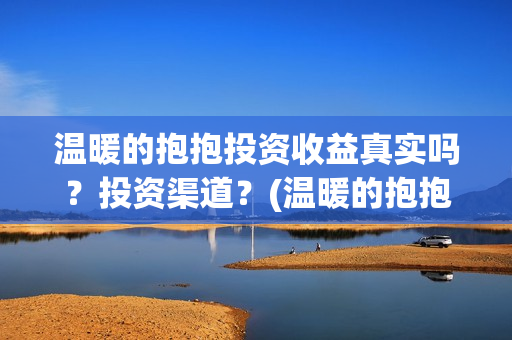 温暖的抱抱投资收益真实吗？投资渠道？(温暖的抱抱投资金额)