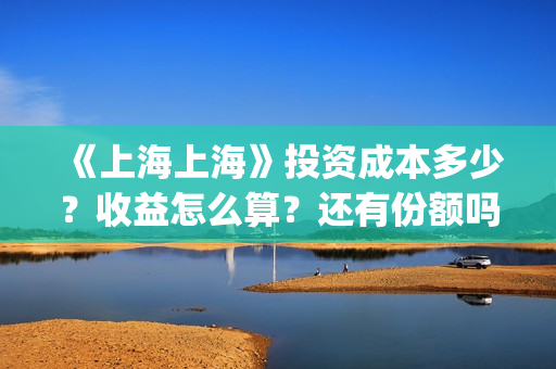 《上海上海》投资成本多少？收益怎么算？还有份额吗？(电影上海上海投资)