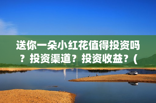 送你一朵小红花值得投资吗？投资渠道？投资收益？(送你一朵小红花 歌曲)