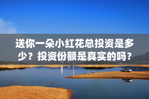 送你一朵小红花总投资是多少？投资份额是真实的吗？(送你一朵小红花原唱)