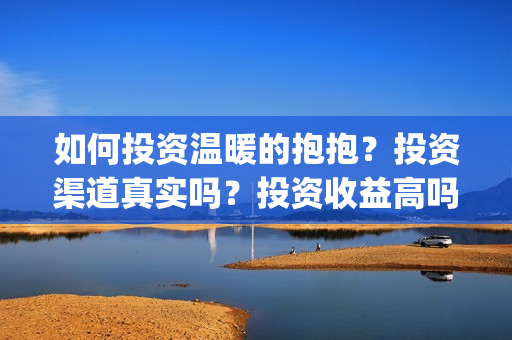 如何投资温暖的抱抱？投资渠道真实吗？投资收益高吗？(如何投资温暖的公司)