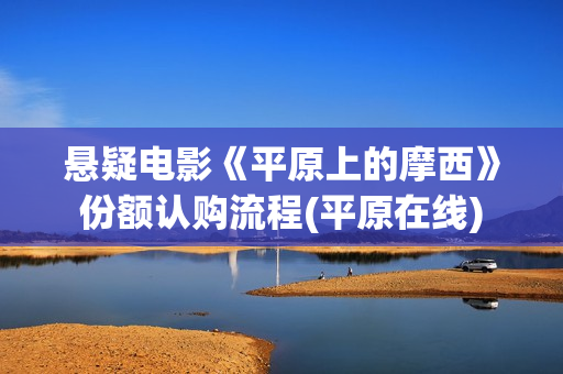 悬疑电影《平原上的摩西》份额认购流程(平原在线)