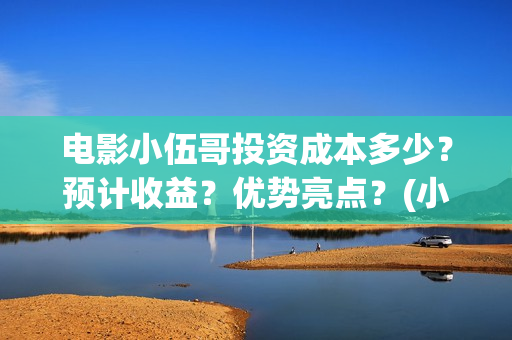电影小伍哥投资成本多少？预计收益？优势亮点？(小伍哥上映)