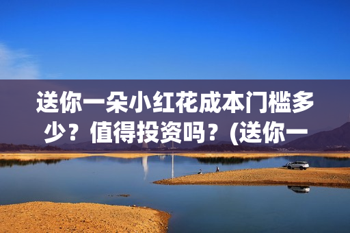 送你一朵小红花成本门槛多少？值得投资吗？(送你一朵小红花 歌曲)