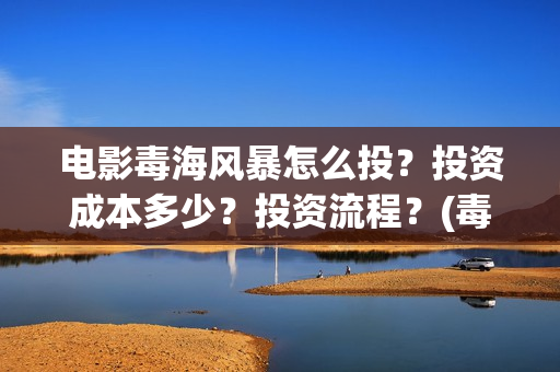 电影毒海风暴怎么投？投资成本多少？投资流程？(毒海风暴 电影)