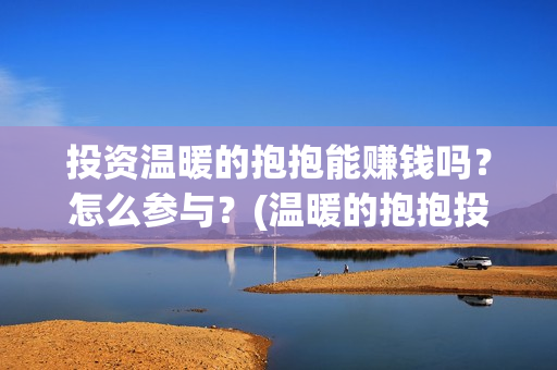 投资温暖的抱抱能赚钱吗？怎么参与？(温暖的抱抱投资额)