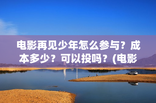 电影再见少年怎么参与？成本多少？可以投吗？(电影《再见少年》)