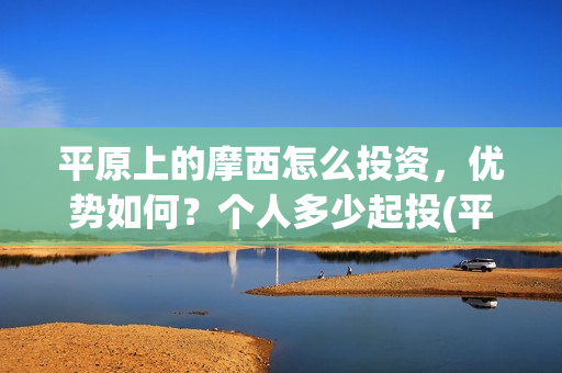 平原上的摩西怎么投资，优势如何？个人多少起投(平原上的摩西怎么破案的)
