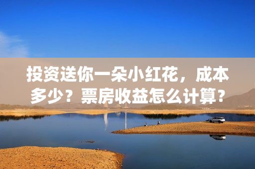 投资送你一朵小红花，成本多少？票房收益怎么计算？(投资送你一朵小红花)