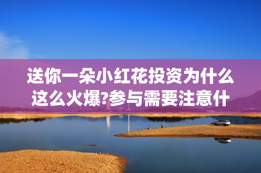 送你一朵小红花投资为什么这么火爆?参与需要注意什么(送你一朵小红花电影剧情介绍)