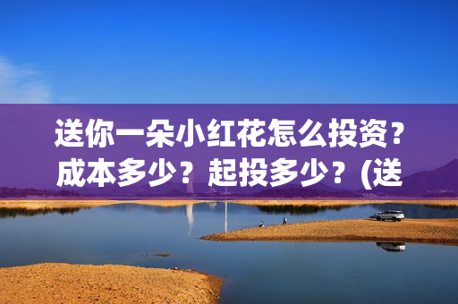 送你一朵小红花怎么投资？成本多少？起投多少？(送你一朵小红花演员表)