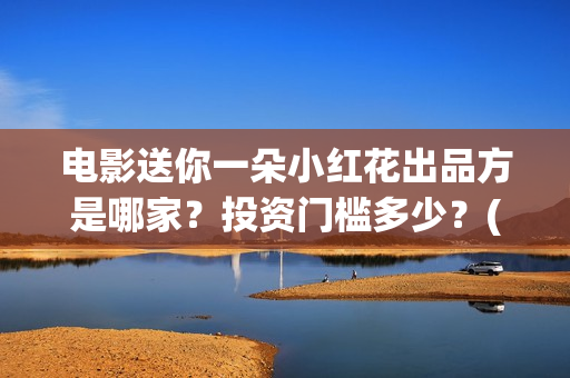 电影送你一朵小红花出品方是哪家？投资门槛多少？(电影送你一朵小红花讲述的主题是抗癌吗)