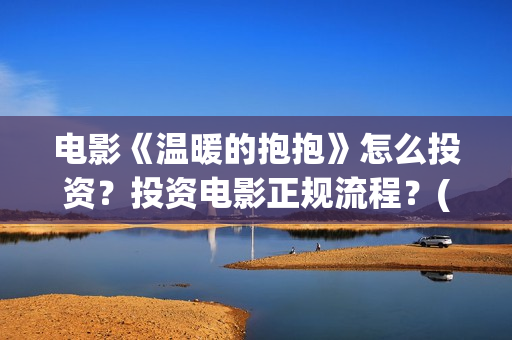 电影《温暖的抱抱》怎么投资？投资电影正规流程？(温暖的抱免费)