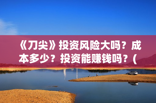 《刀尖》投资风险大吗？成本多少？投资能赚钱吗？(刀尖主演)