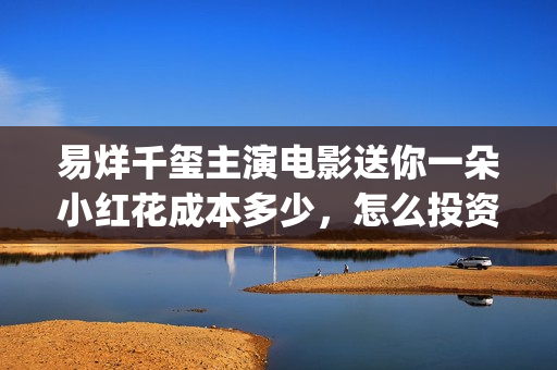 易烊千玺主演电影送你一朵小红花成本多少，怎么投资(易烊千玺主演电视剧)