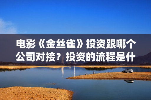 电影《金丝雀》投资跟哪个公司对接？投资的流程是什么？(金丝雀动画)
