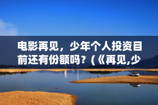 电影再见，少年个人投资目前还有份额吗？(《再见,少年》)