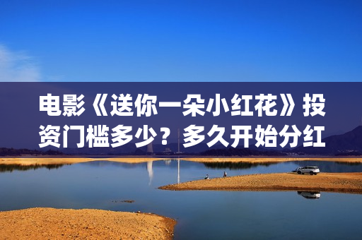 电影《送你一朵小红花》投资门槛多少？多久开始分红？(电影《送你一朵花》完整版)