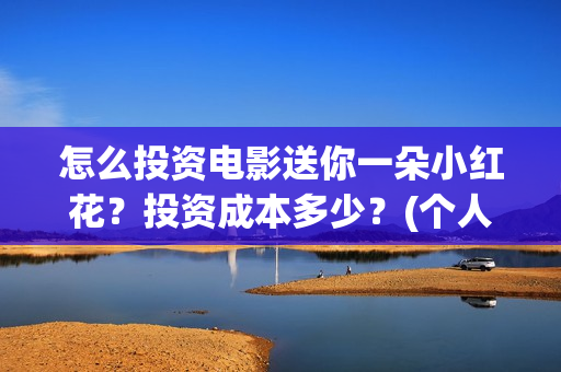 怎么投资电影送你一朵小红花？投资成本多少？(个人怎么投资电影渠道)