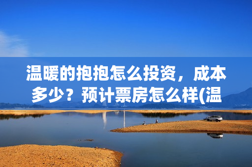 温暖的抱抱怎么投资，成本多少？预计票房怎么样(温暖的抱抱怎么画)