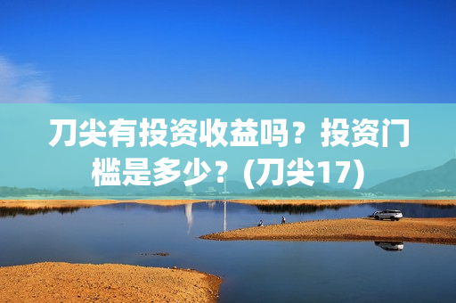 刀尖有投资收益吗？投资门槛是多少？(刀尖17)