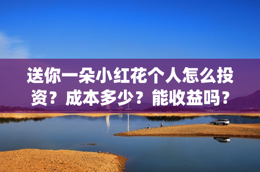 送你一朵小红花个人怎么投资？成本多少？能收益吗？(送你一朵小红花演员表)