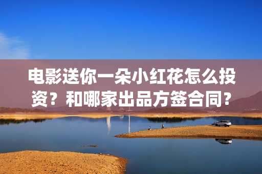 电影送你一朵小红花怎么投资？和哪家出品方签合同？(电影送你一朵小红花观后感)