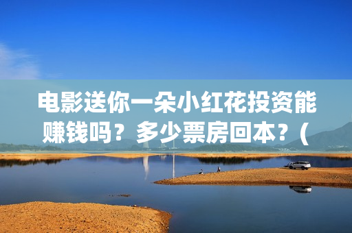 电影送你一朵小红花投资能赚钱吗？多少票房回本？(电影送你一朵小红花的英文)