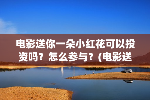 电影送你一朵小红花可以投资吗？怎么参与？(电影送你一朵小红花简介)