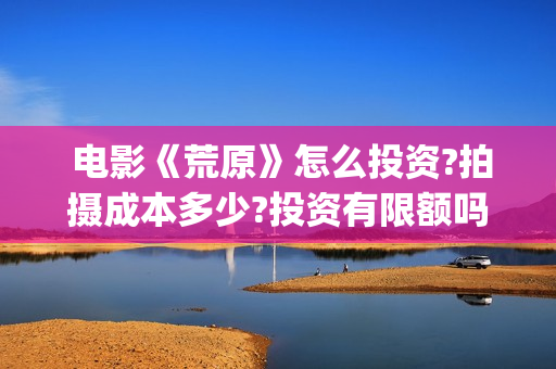  电影《荒原》怎么投资?拍摄成本多少?投资有限额吗?(电影荒原最后他哥活着吗)
