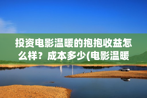 投资电影温暖的抱抱收益怎么样？成本多少(电影温暖的作文)