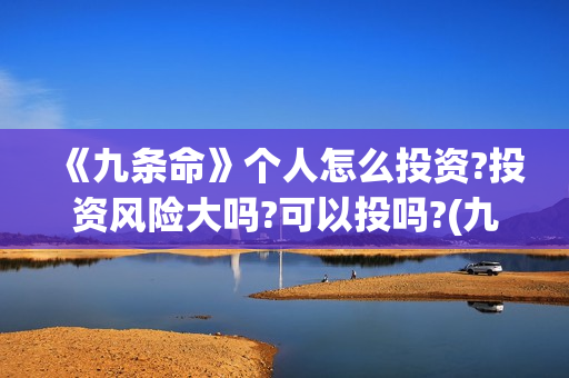 《九条命》个人怎么投资?投资风险大吗?可以投吗?(九条命简介)