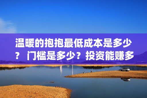 温暖的抱抱最低成本是多少？ 门槛是多少？投资能赚多少钱？(温暖的抱抱破5亿)