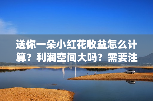 送你一朵小红花收益怎么计算？利润空间大吗？需要注意什么?(送你一朵小红花电影免费观看)