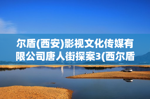 尔盾(西安)影视文化传媒有限公司唐人街探案3(西尔盾车品官方旗舰店)