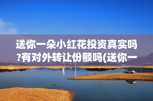 送你一朵小红花投资真实吗?有对外转让份额吗(送你一朵小红花歌词表达什么意思)