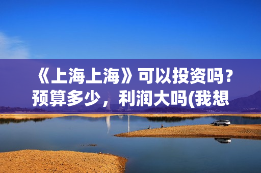 《上海上海》可以投资吗？预算多少，利润大吗(我想看上海上海)