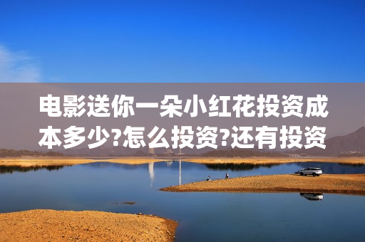 电影送你一朵小红花投资成本多少?怎么投资?还有投资份额吗?(电影送你一朵小红花讲述的主题是抗癌吗)