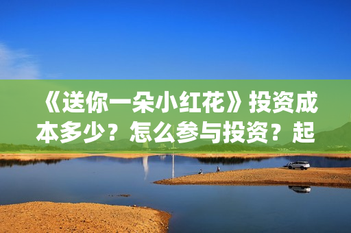 《送你一朵小红花》投资成本多少？怎么参与投资？起投多少？(送你一朵小红花电影)