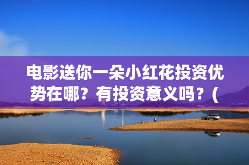电影送你一朵小红花投资优势在哪？有投资意义吗？(电影送你一朵小红花观后感)